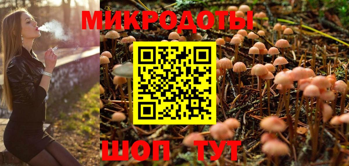 Псилоцибиновые грибы прущие грибы  Вход с VPN  Заинск 