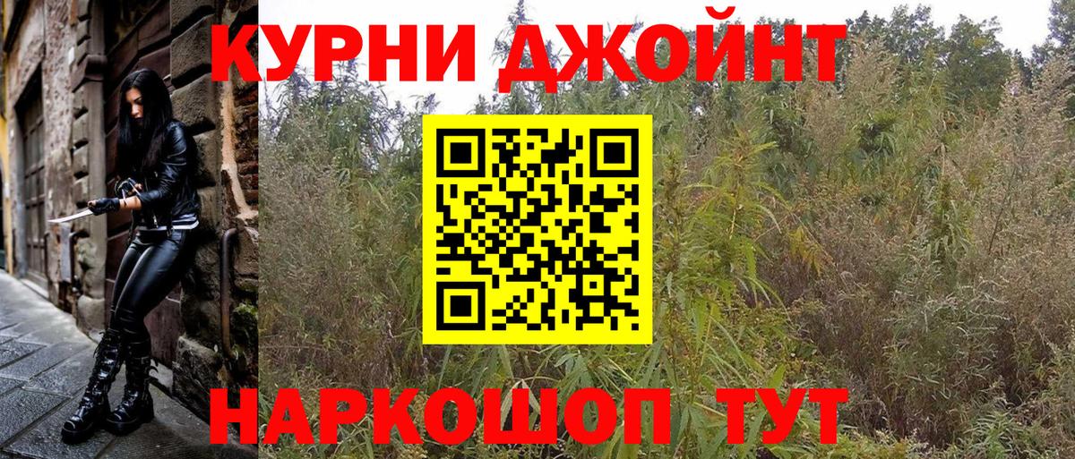 Марихуана сатива Заинск